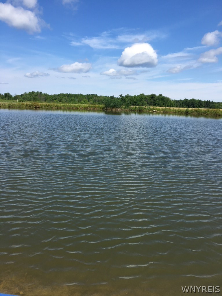 7288 Center Street Colden, NY 14170 - Photo 45 of 47