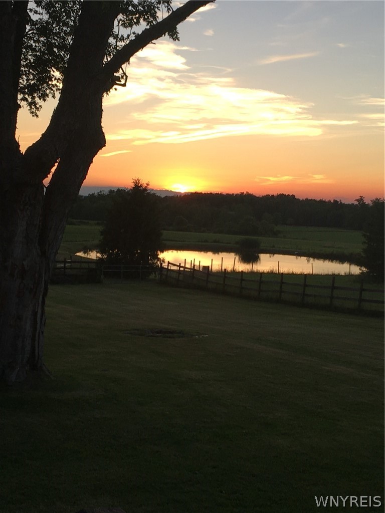 7288 Center Street Colden, NY 14170 - Photo 46 of 47