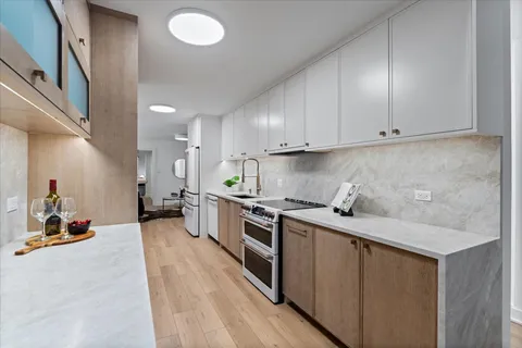 $1,124,900 | 39 East Schiller Street, Unit 1E, Chicago, IL 60610