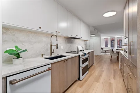 $1,124,900 | 39 East Schiller Street, Unit 1E, Chicago, IL 60610