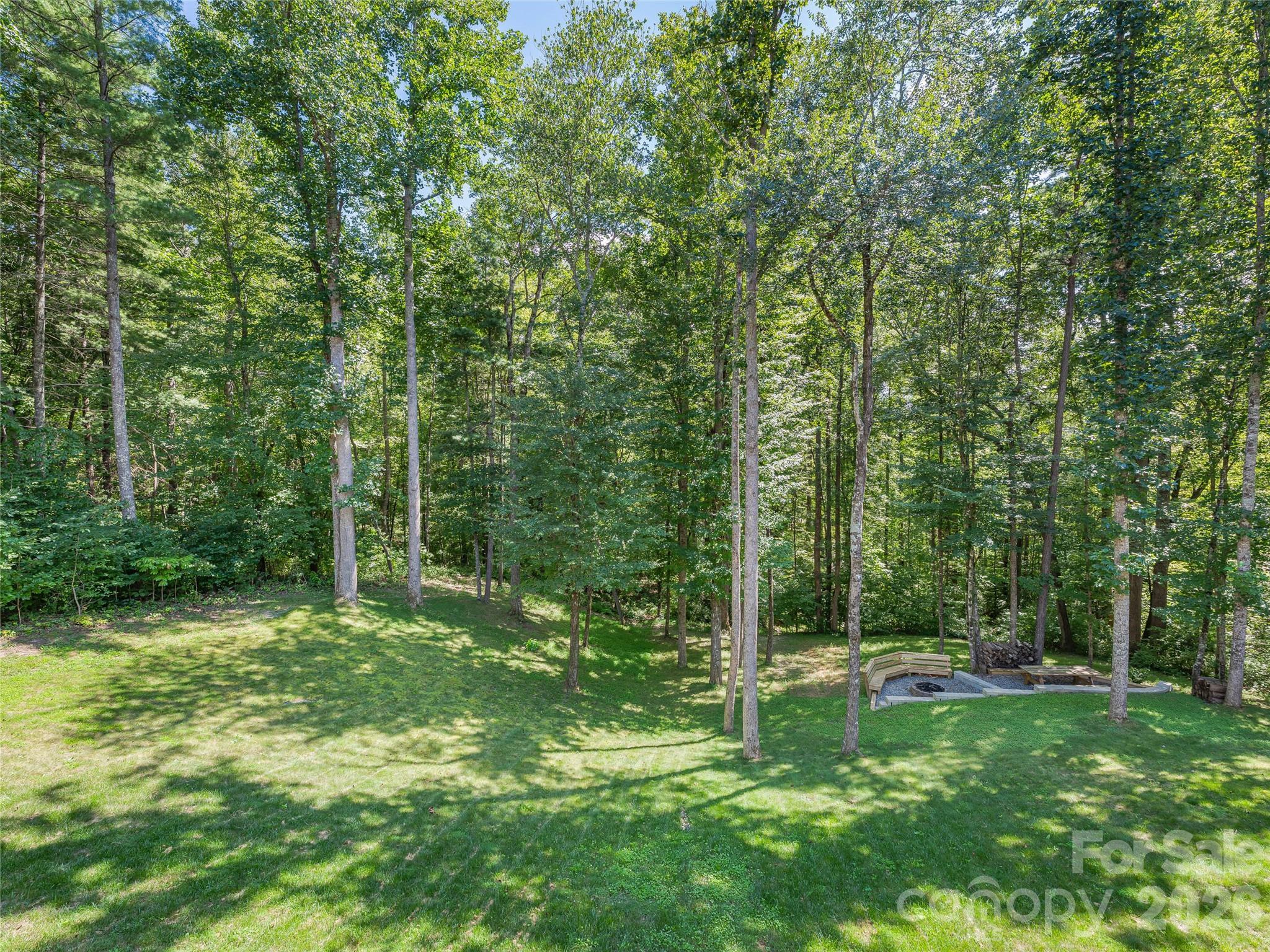 937 Monte Vista Road Candler, NC 28715 - Photo 16 of 46