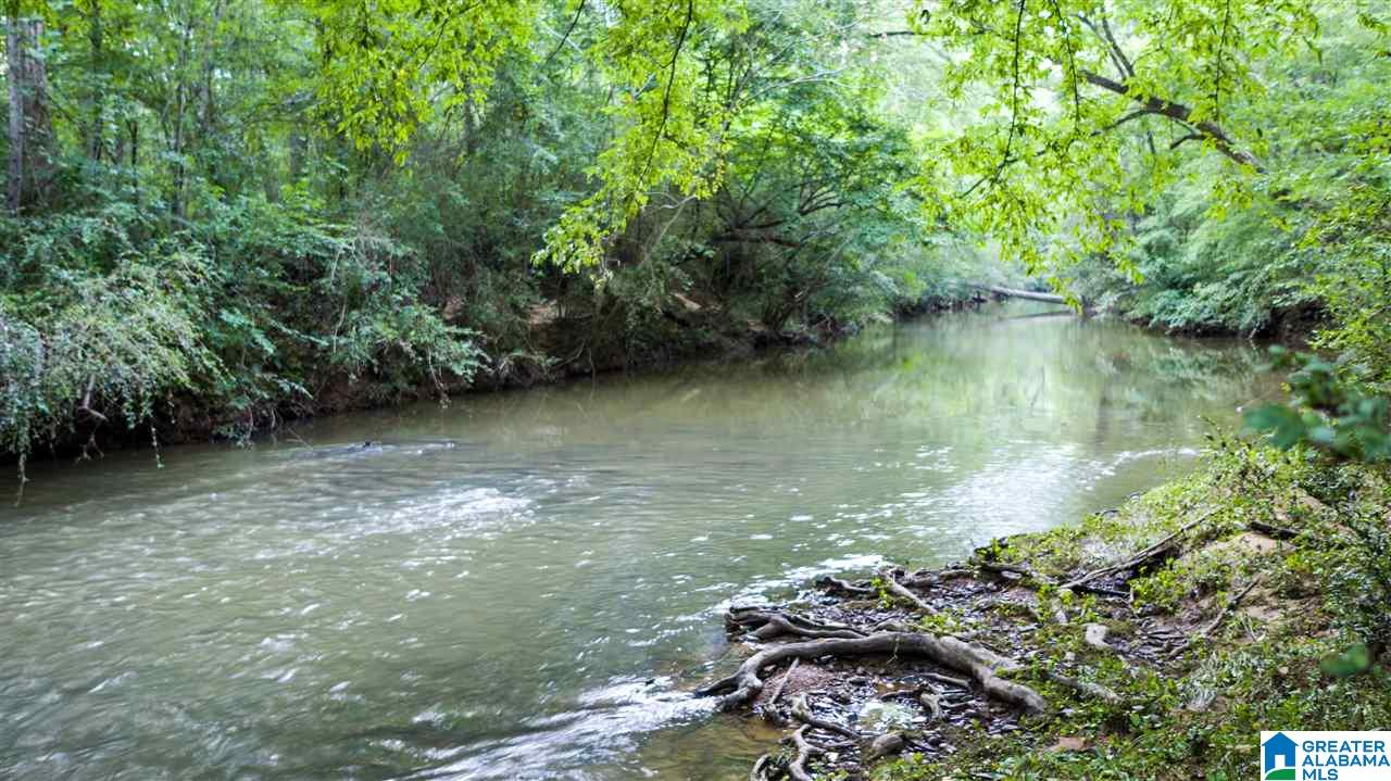 180 Gibson Road, Unit 76 / ACRES OFF GIBSON R Columbiana, AL 35051 - Photo 38 of 50