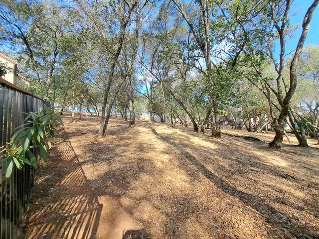 a view of backyard space