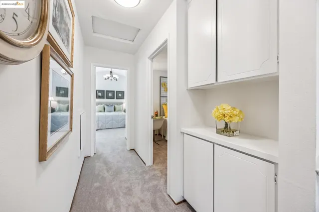 a spacious bedroom with a large bed and a potted plant