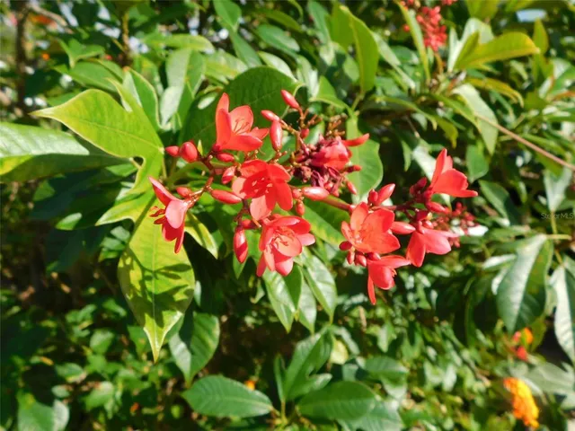 $196,000 | 11739 Southwest Lemon Avenue, Arcadia, FL 34269