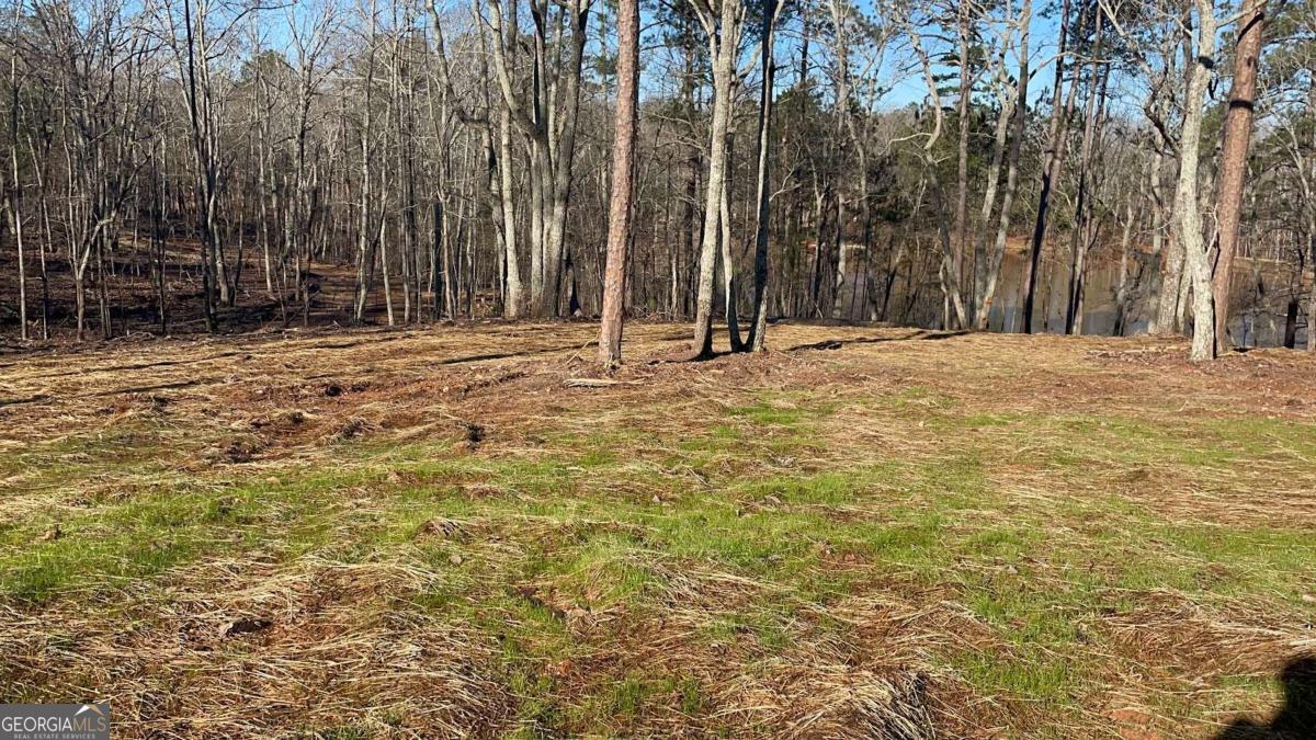 415 Walton Road Barnesville, GA 30204 - Photo 2 of 6