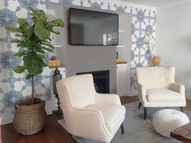 a living room with furniture and a potted plant