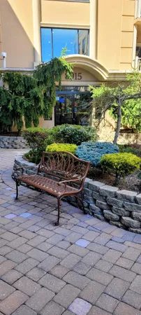 a view of a backyard with plants