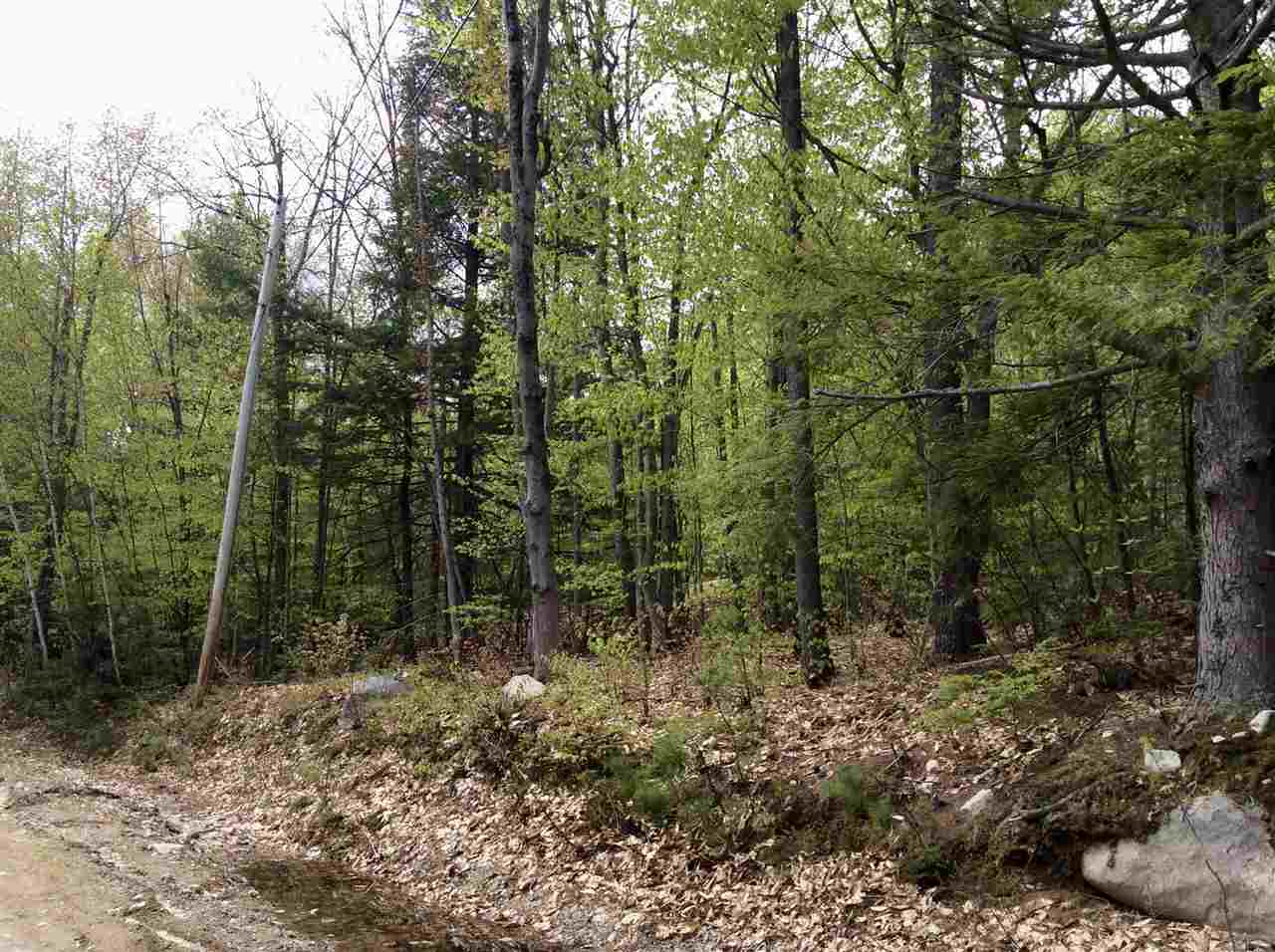 5 Biasca Place Madison, NH 03849 - Photo 2 of 11 Gallery Image 2