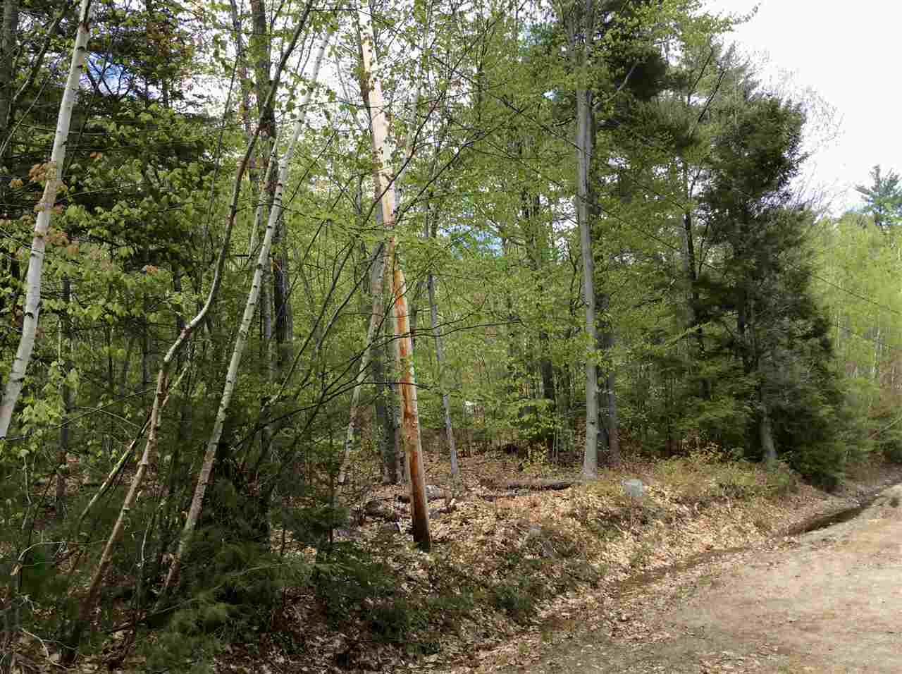 5 Biasca Place Madison, NH 03849 - Photo 7 of 11 Gallery Image 7