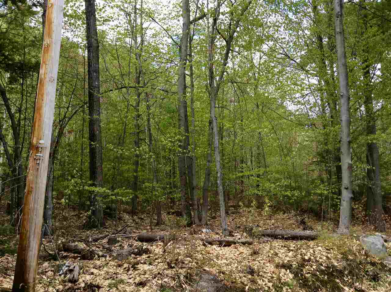 5 Biasca Place Madison, NH 03849 - Photo 8 of 11 Gallery Image 8