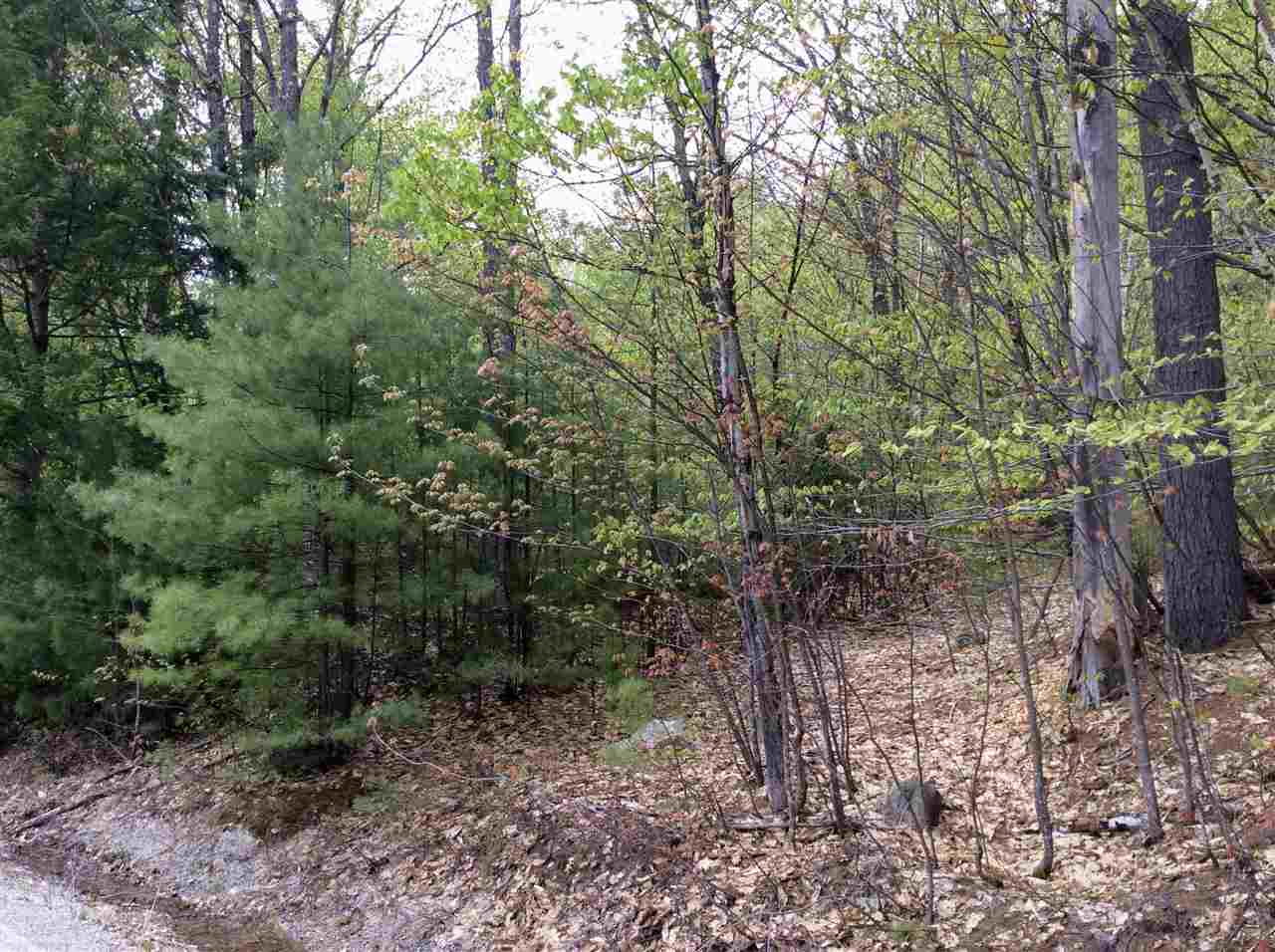 5 Biasca Place Madison, NH 03849 - Photo 10 of 11 Gallery Image 10