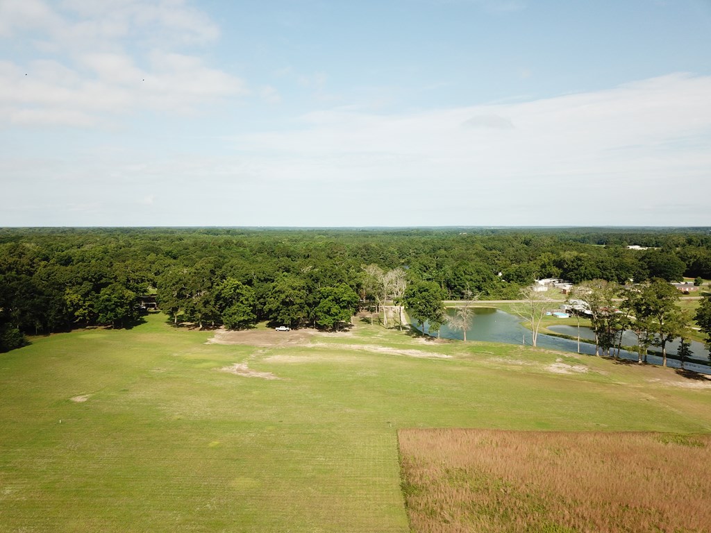 103 Slocomb Al Slocomb, AL 36375 - Photo 27 of 63