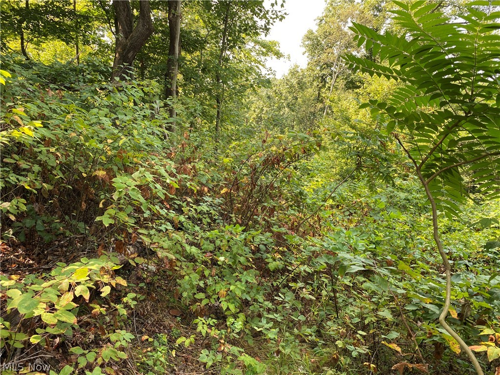 258 State Route Tippecanoe, OH 44699 - Photo 5 of 34 Gallery Image 5
