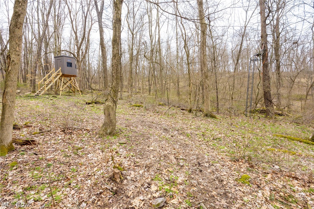 71 Township Road Killbuck, OH 44637 - Photo 23 of 39