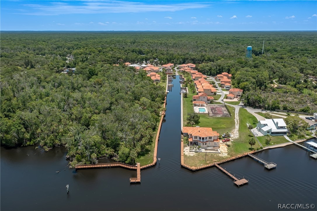 10228 West Middleburg Loop Homosassa, FL 34448 - Photo 5 of 9