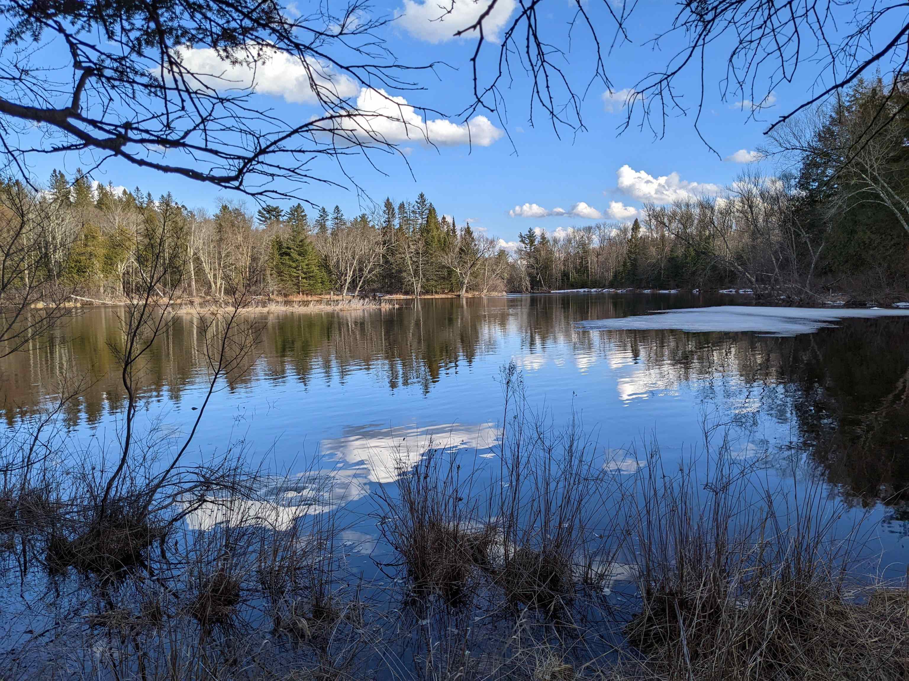 On On Chippewa Pines Way Winter, WI 54896 - Photo 1 of 1