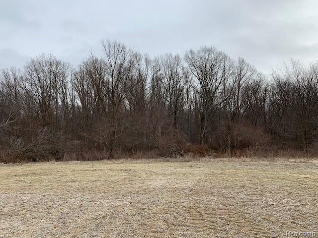 10.03 North Lapeer Road Lapeer, MI 48446 - Photo 2 of 3 Gallery Image 2