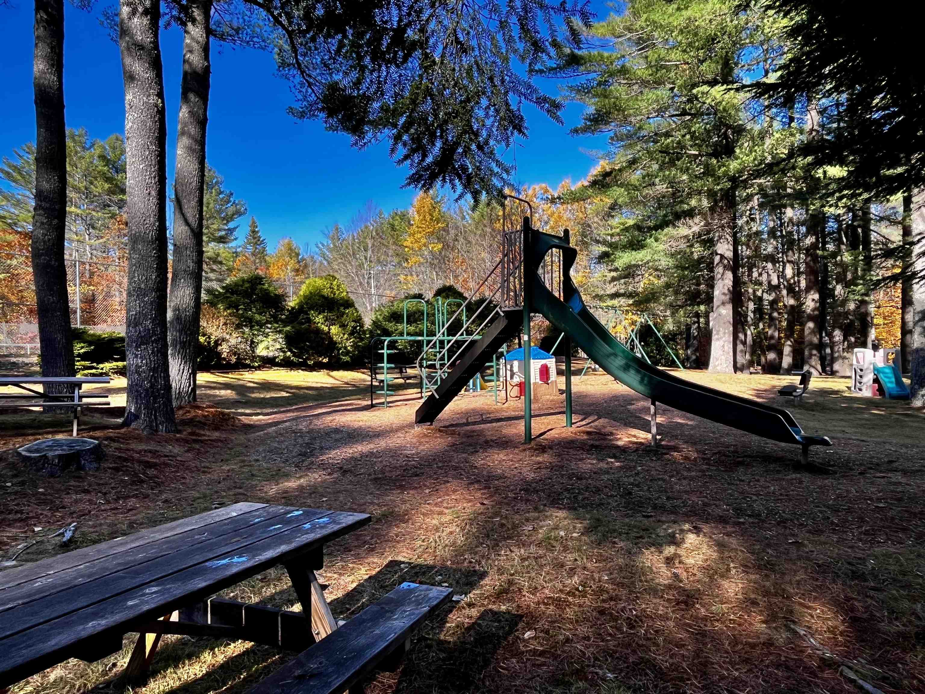 344 Chalk Pond Road Newbury, NH 03255 - Photo 44 of 55