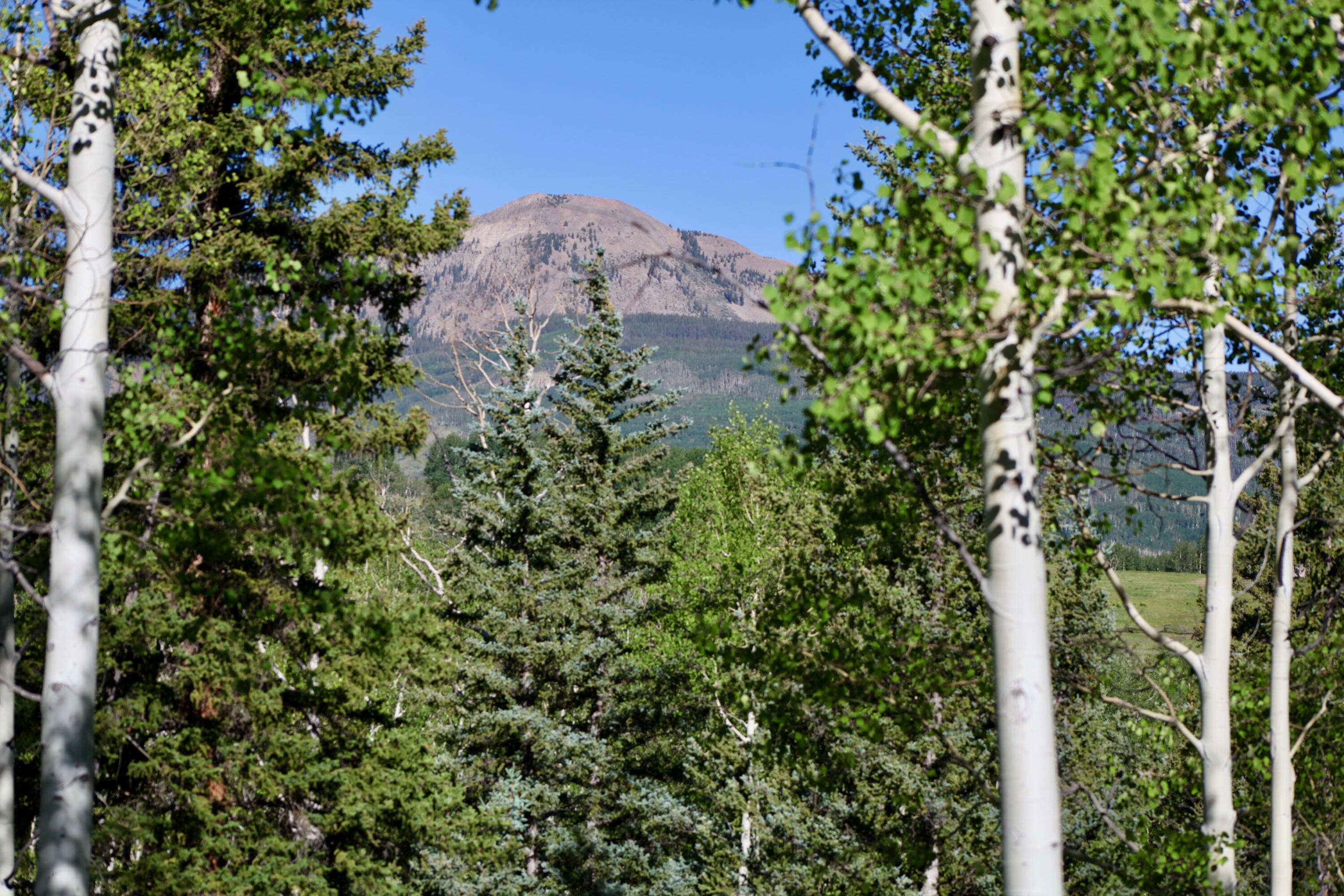 81 Waggoner Road Placerville, CO 81430 - Photo 6 of 18 Lot 66 Wilson Mesa Ranch