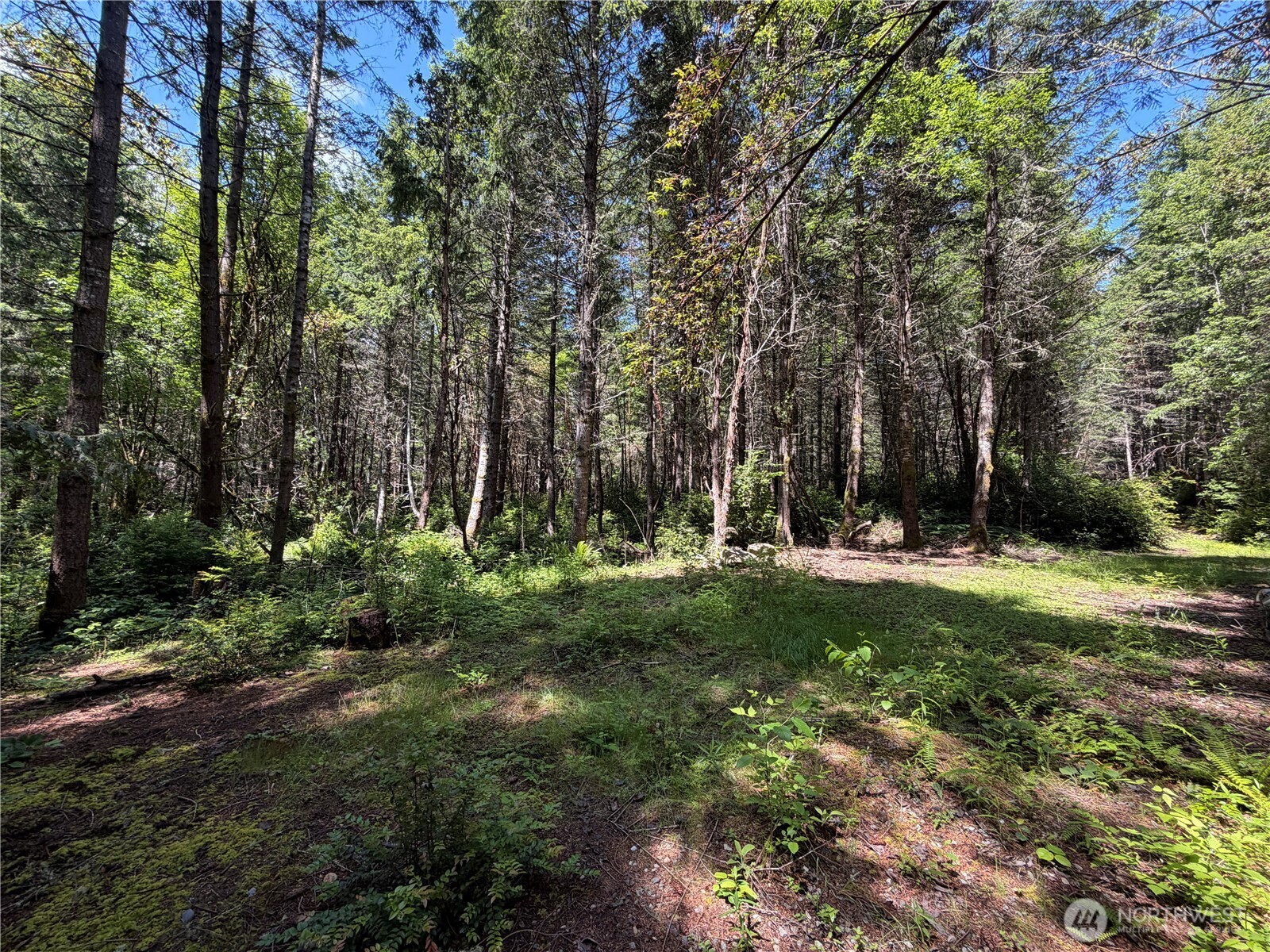 178 Geoduck Drive Quilcene, WA 98376 - Photo 5 of 7