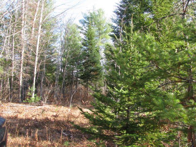 0 Carthage Road Carthage, ME 04224 - Photo 16 of 31 Photo