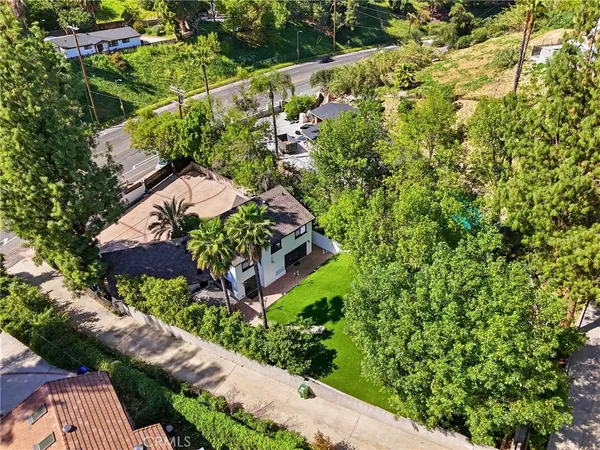 a view of a yard with plants