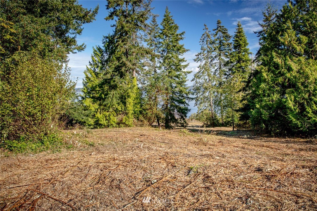 22 President Point Road Northeast Kingston, WA 98346 - Photo 11 of 30 Gallery Image 11