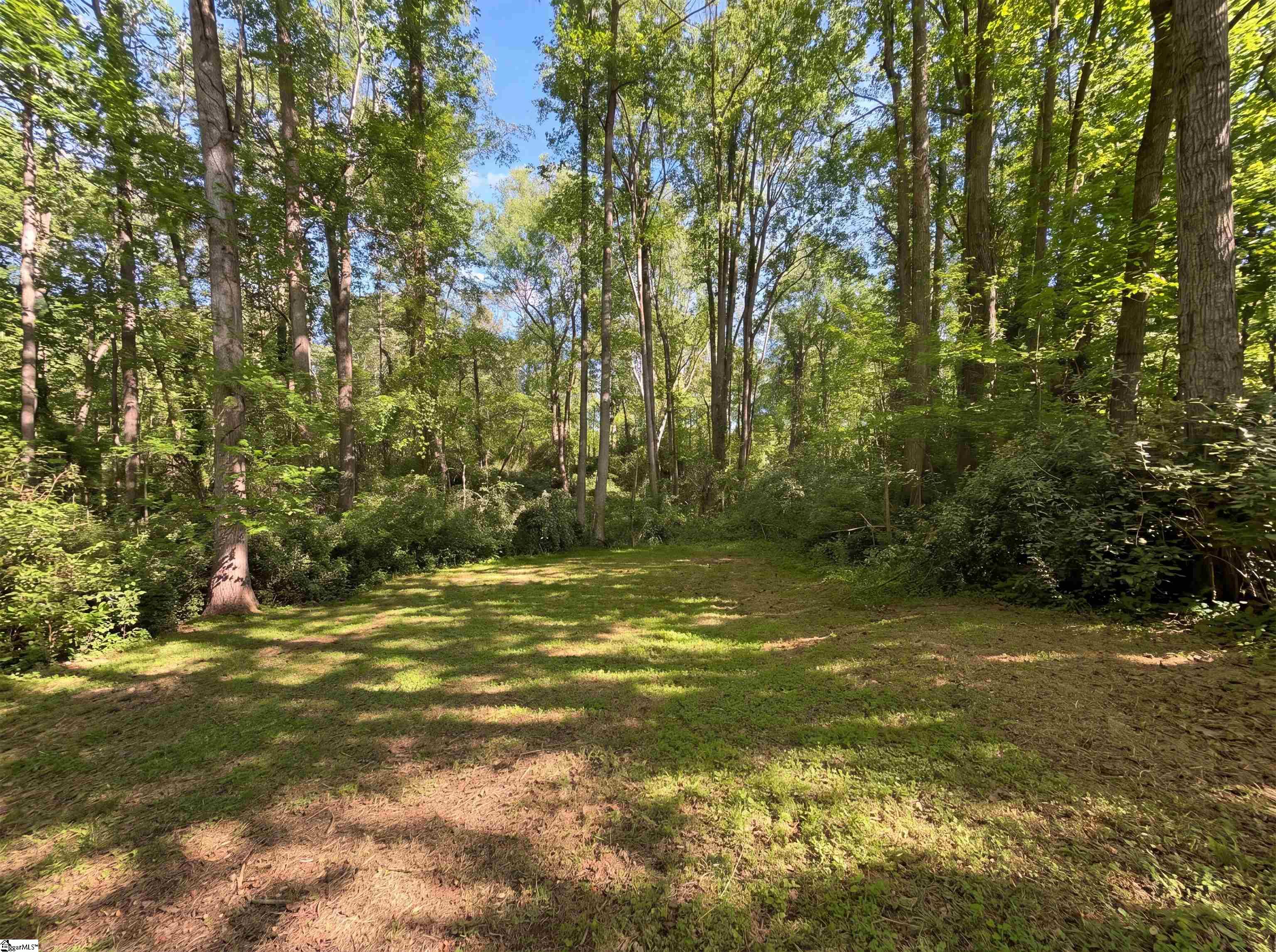 272 Wolfe Lane Inman, SC 29349 - Photo 17 of 19 Gallery Image 17