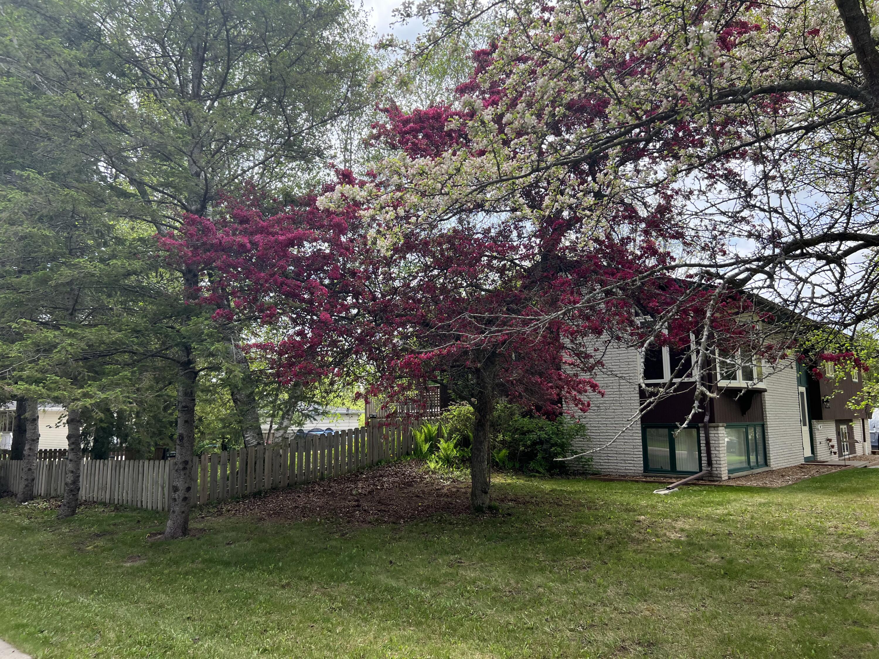 851 Linden Street Cleveland, WI 53015 - Photo 2 of 34 IMG_1502