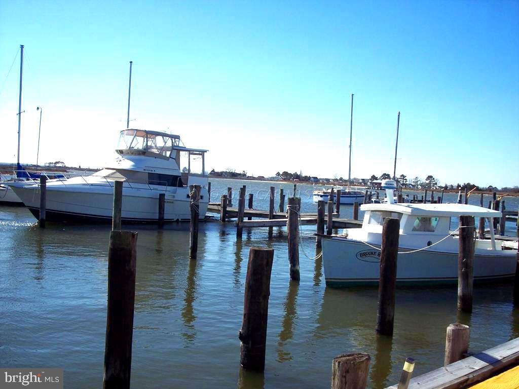 25726 Rumbley Road Westover, MD 21871 - Photo 10 of 16 Luxury Yachts Share Slips with Working Boats