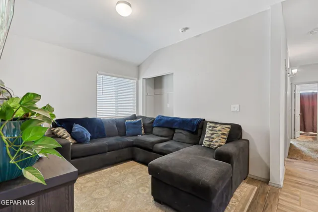 a living room with furniture and a potted plant