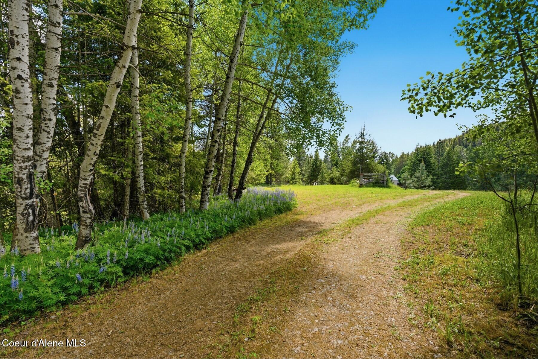 132 Lower Manley Creek Road Laclede, ID 83841 - Photo 47 of 57 132 Lower Manley Creek Road