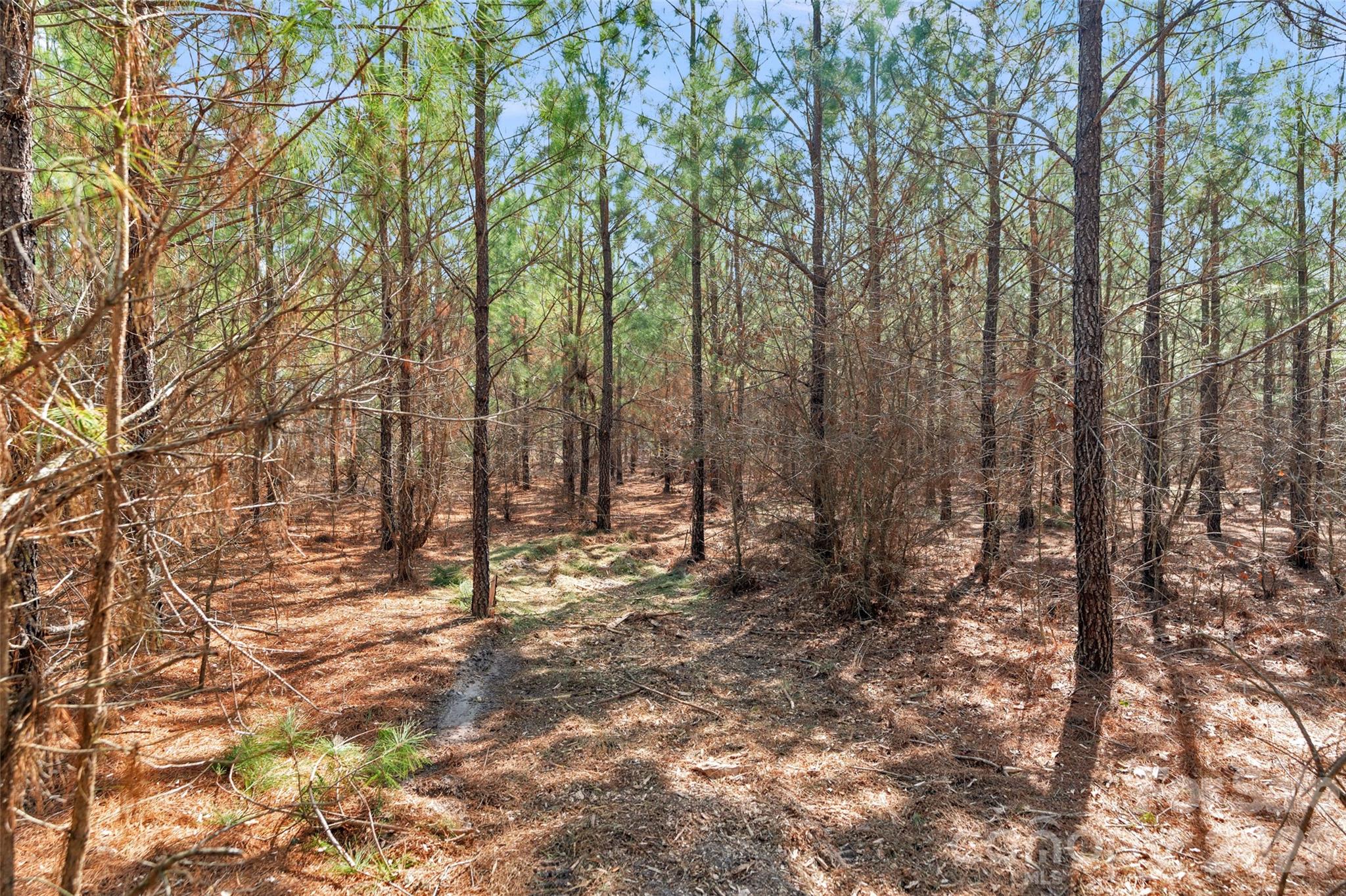 931 Charlie Johnson Road, Unit 11 Kershaw, SC 29067 - Photo 19 of 27 Gallery Image 19