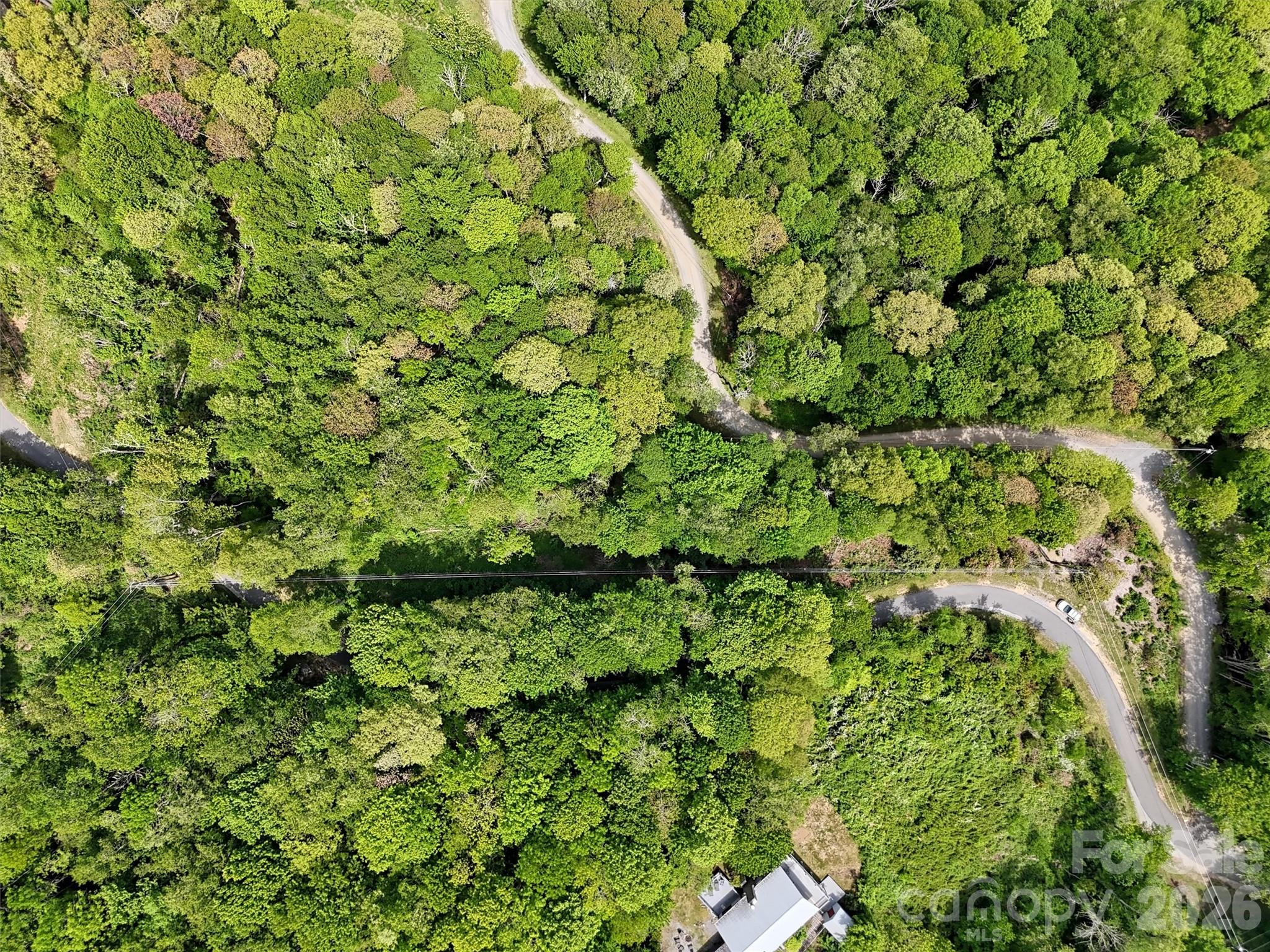 0 Leatherwood Road Maggie Valley, NC 28751 - Photo 13 of 15