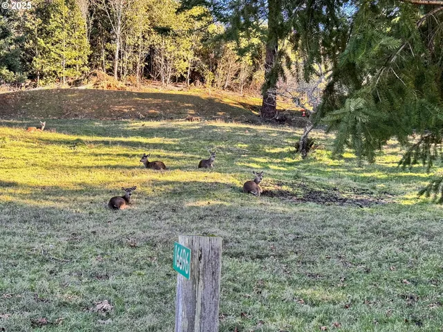 $749,000 | 16696 Sunshine Lane, Brookings, OR 97415