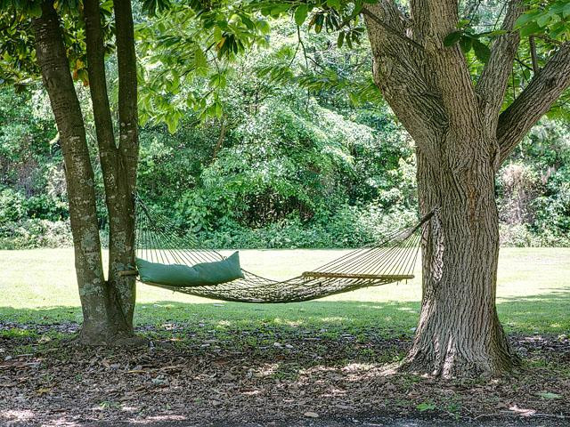 406 John Jones Road Bahama, NC 27503 - Photo 21 of 24 Hardwood trees