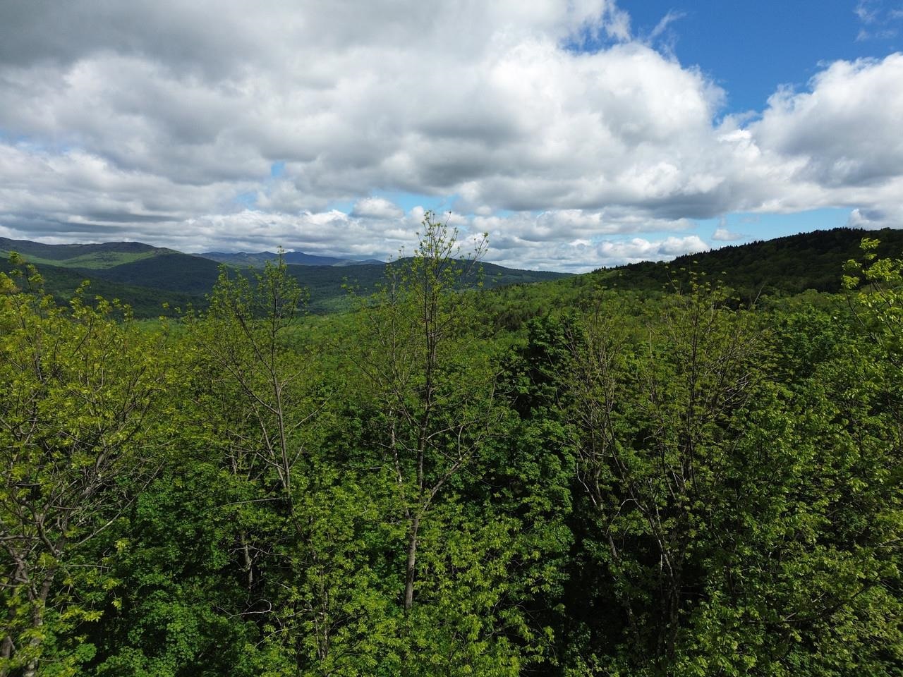 197 Sugar Ledge Road, Unit 4 Warren, VT 05674 - Photo 11 of 17