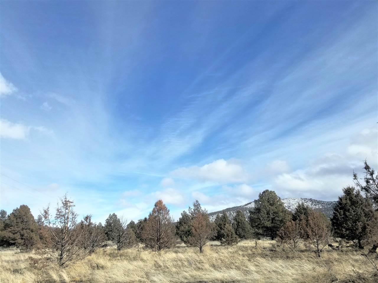 3616 Lazy Ranch Road Macdoel, CA 96058 - Photo 1 of 17 Gallery Image 1