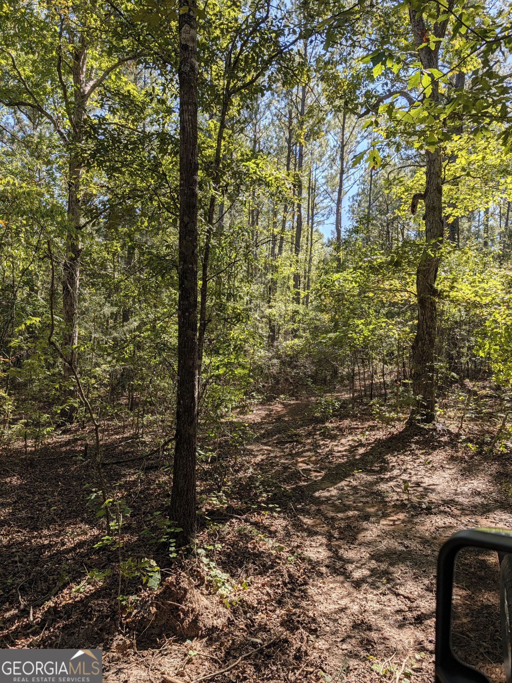 -chappell Mill Chappell Mill Road Milner, GA 30257 - Photo 2 of 10 Gallery Image 2