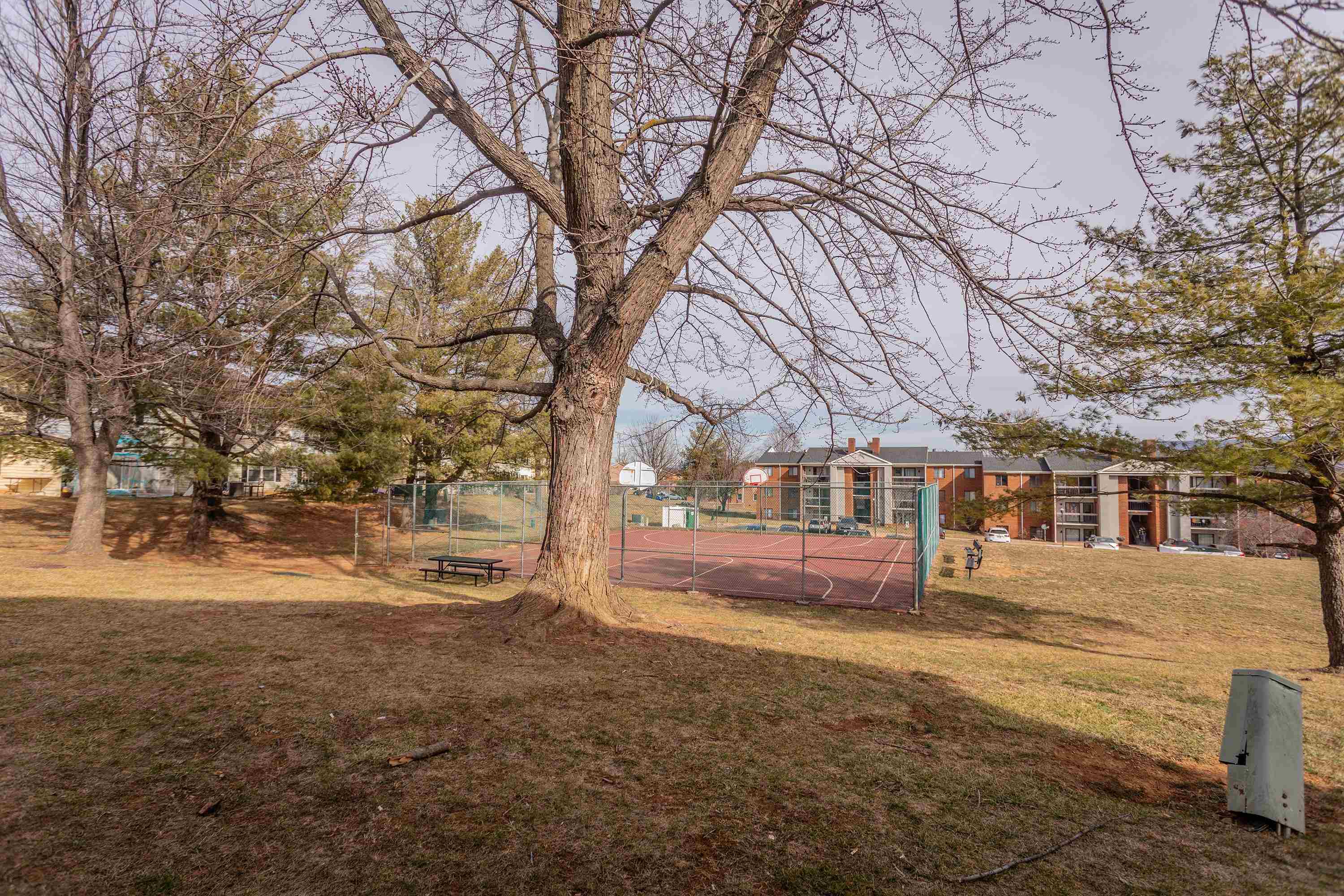 1211 Old Furnace Road Harrisonburg, VA 22802 - Photo 50 of 55 The back yard space opens up to a large greenspace area and community basketball court.