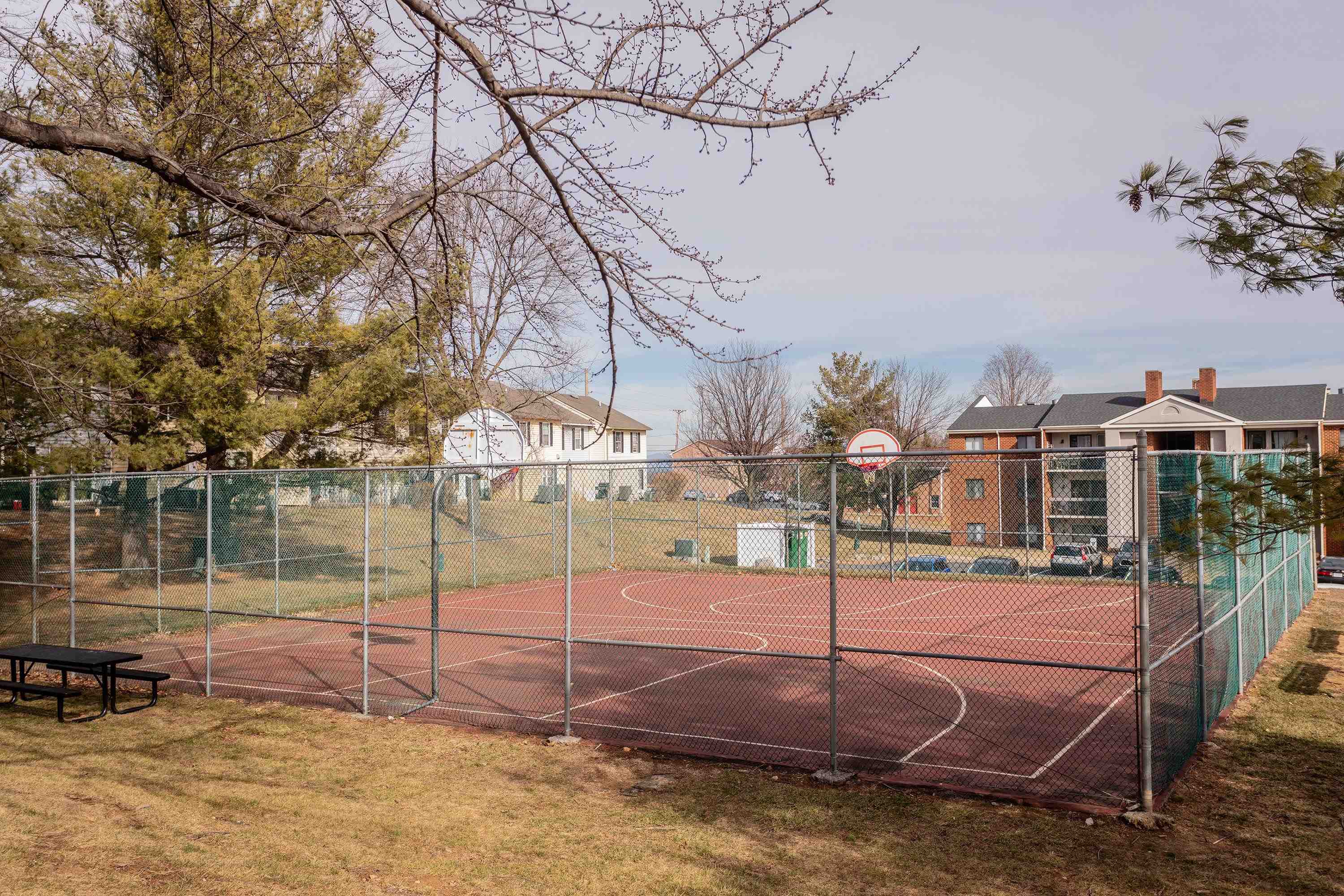 1211 Old Furnace Road Harrisonburg, VA 22802 - Photo 51 of 55 The back yard space opens up to a large greenspace area and community basketball court.