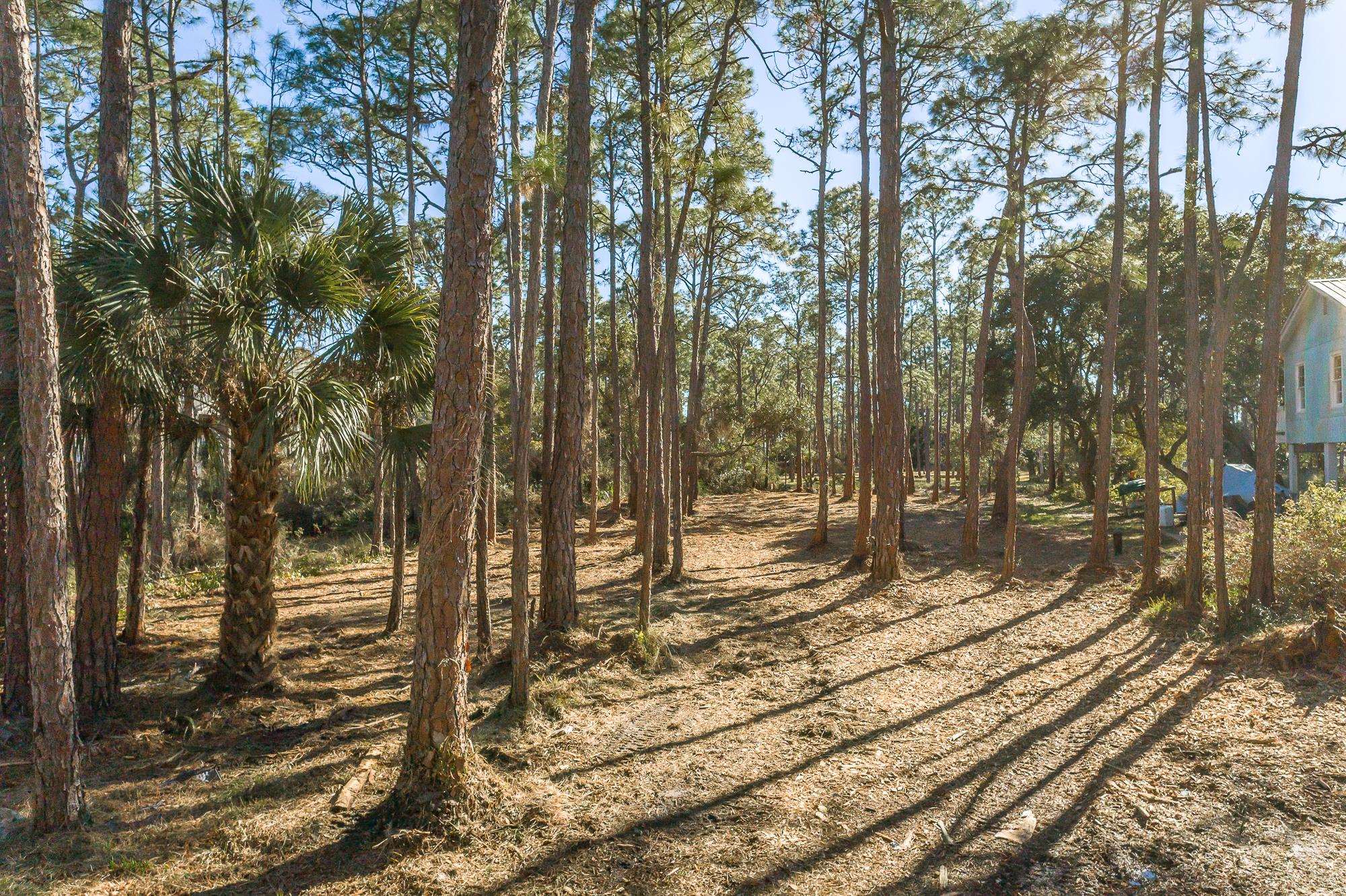 160 Harbor Circle Alligator Point, FL 32346 - Photo 11 of 24
