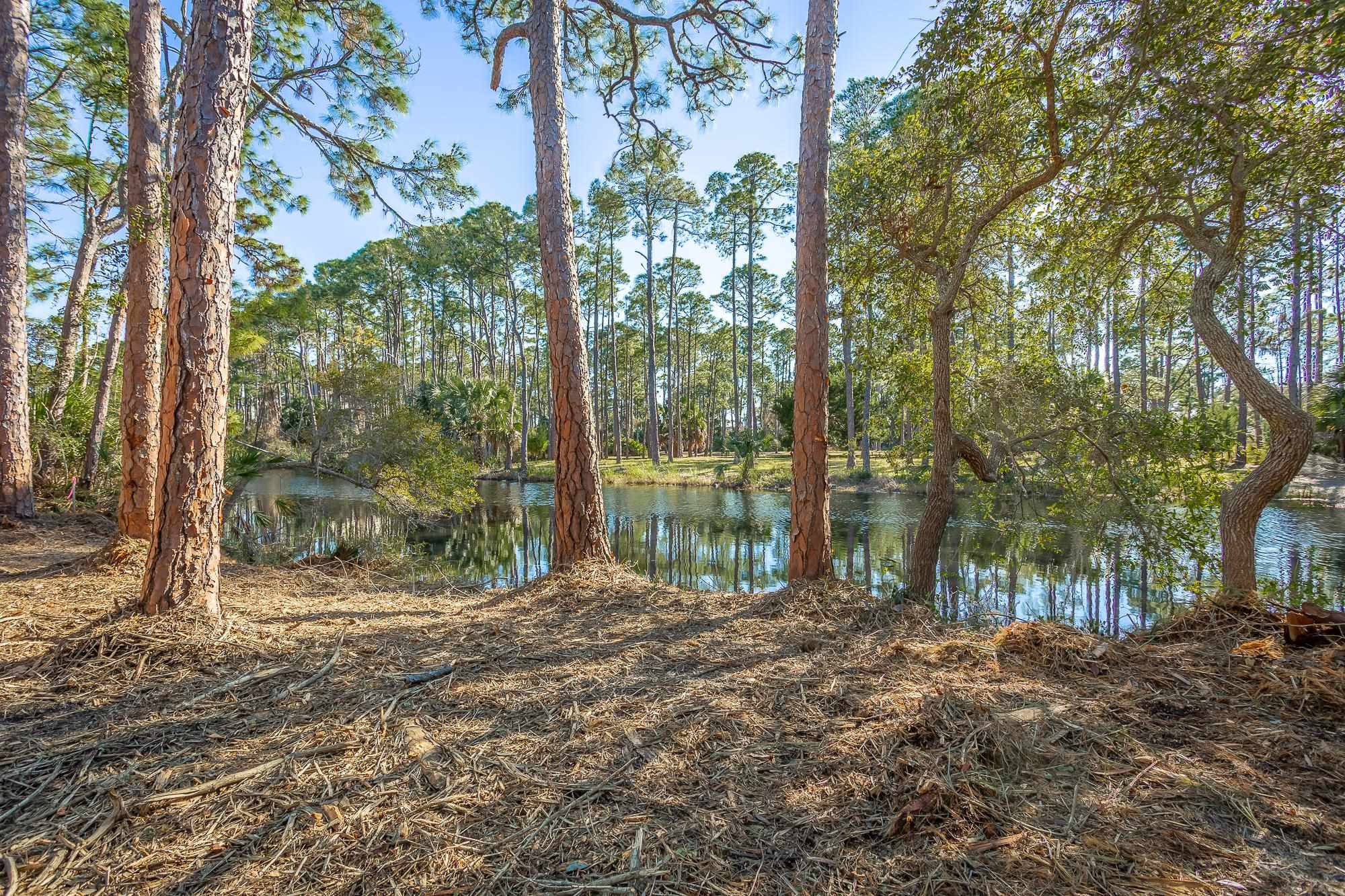160 Harbor Circle Alligator Point, FL 32346 - Photo 12 of 24