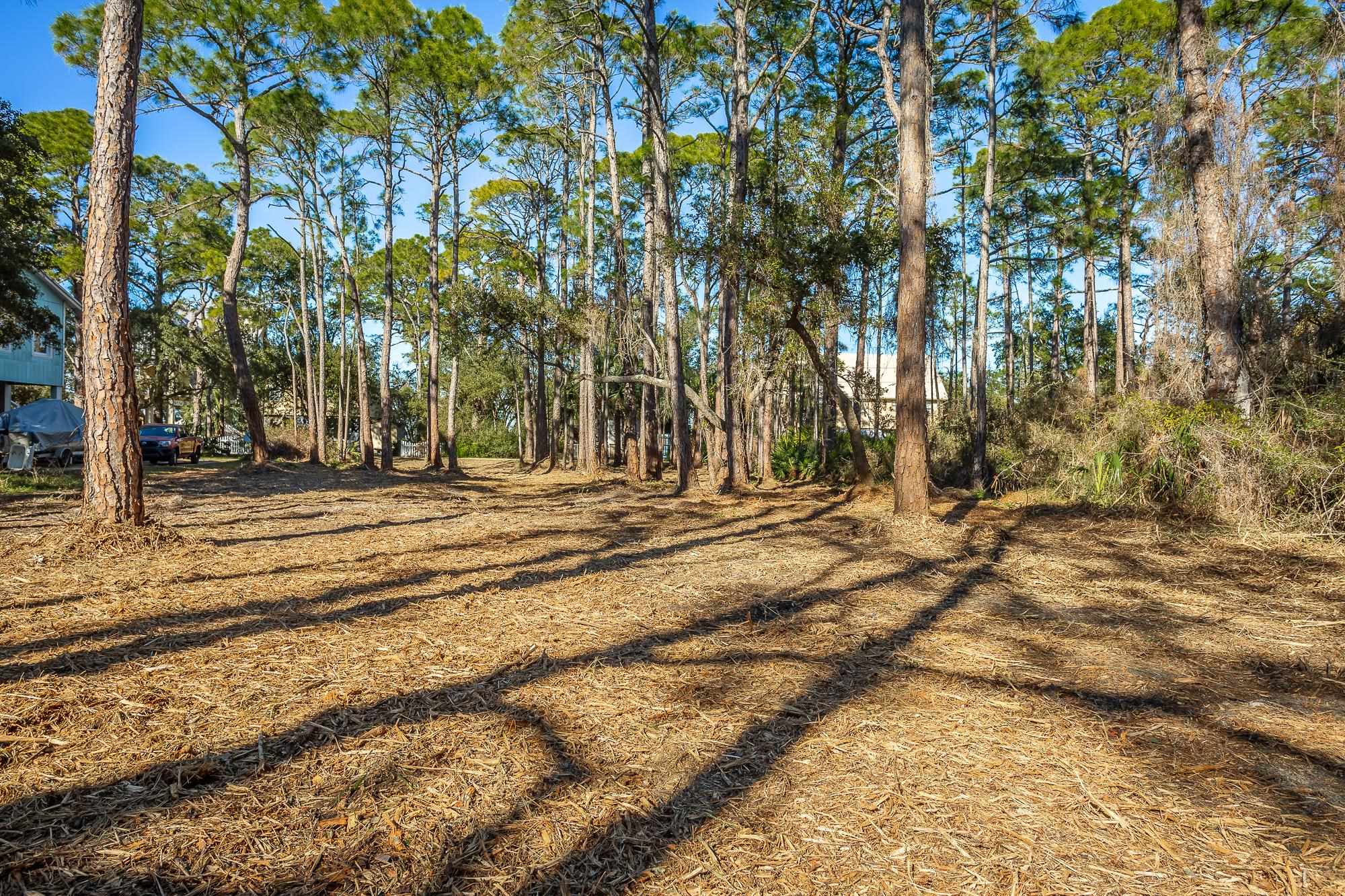 160 Harbor Circle Alligator Point, FL 32346 - Photo 10 of 24