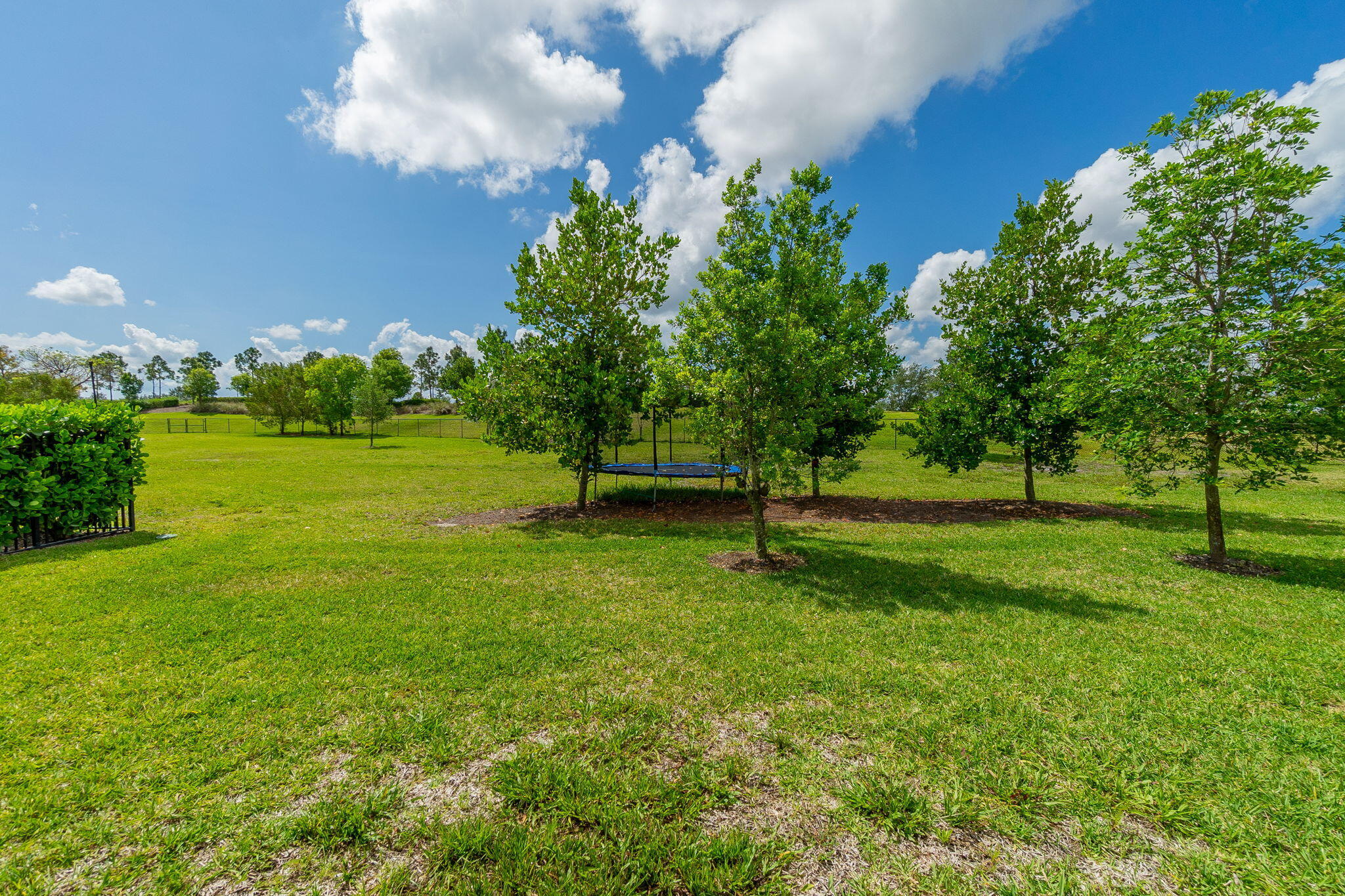 19546 Weathervane Way Loxahatchee, FL 33470 - Photo 35 of 63 a view of a tree in a yard