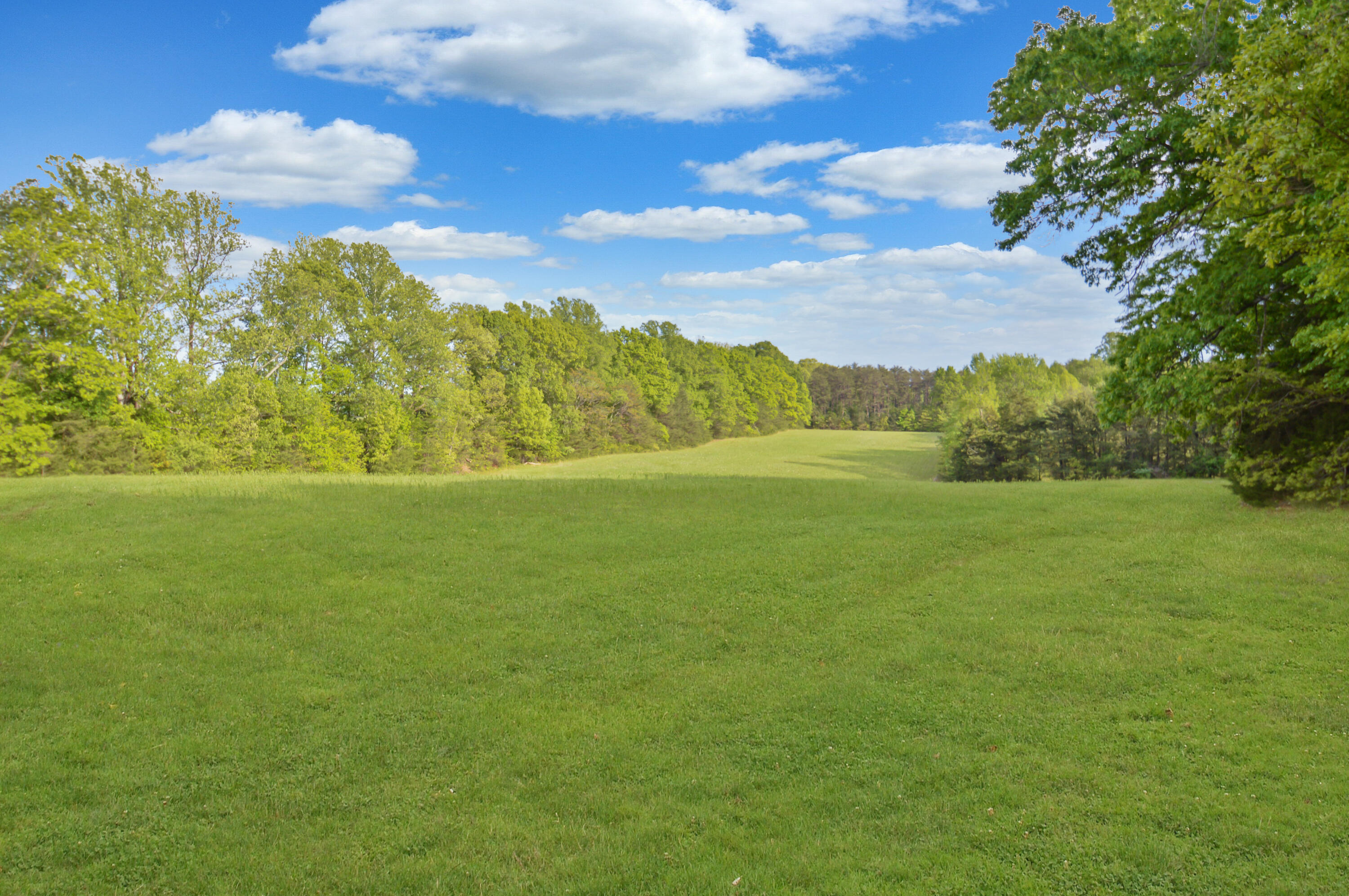 3953 Shingle Block Road Bedford, VA 24523 - Photo 55 of 80 DSC_0214