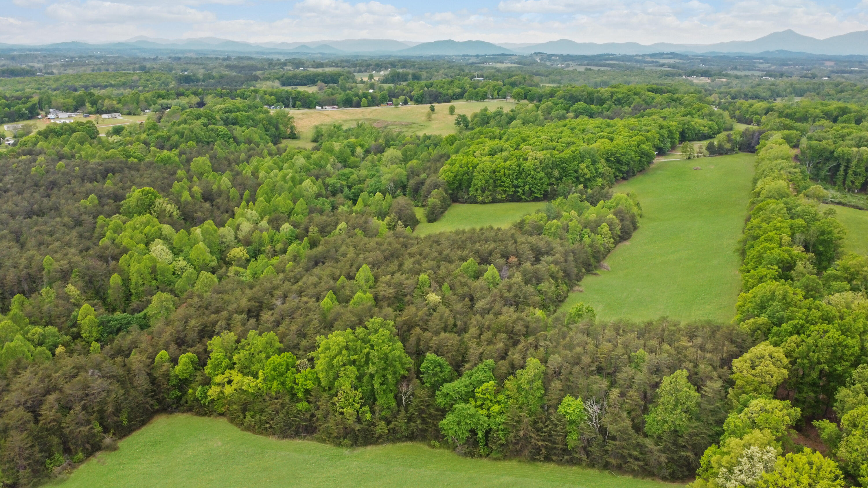 3953 Shingle Block Road Bedford, VA 24523 - Photo 58 of 80 DJI_0405