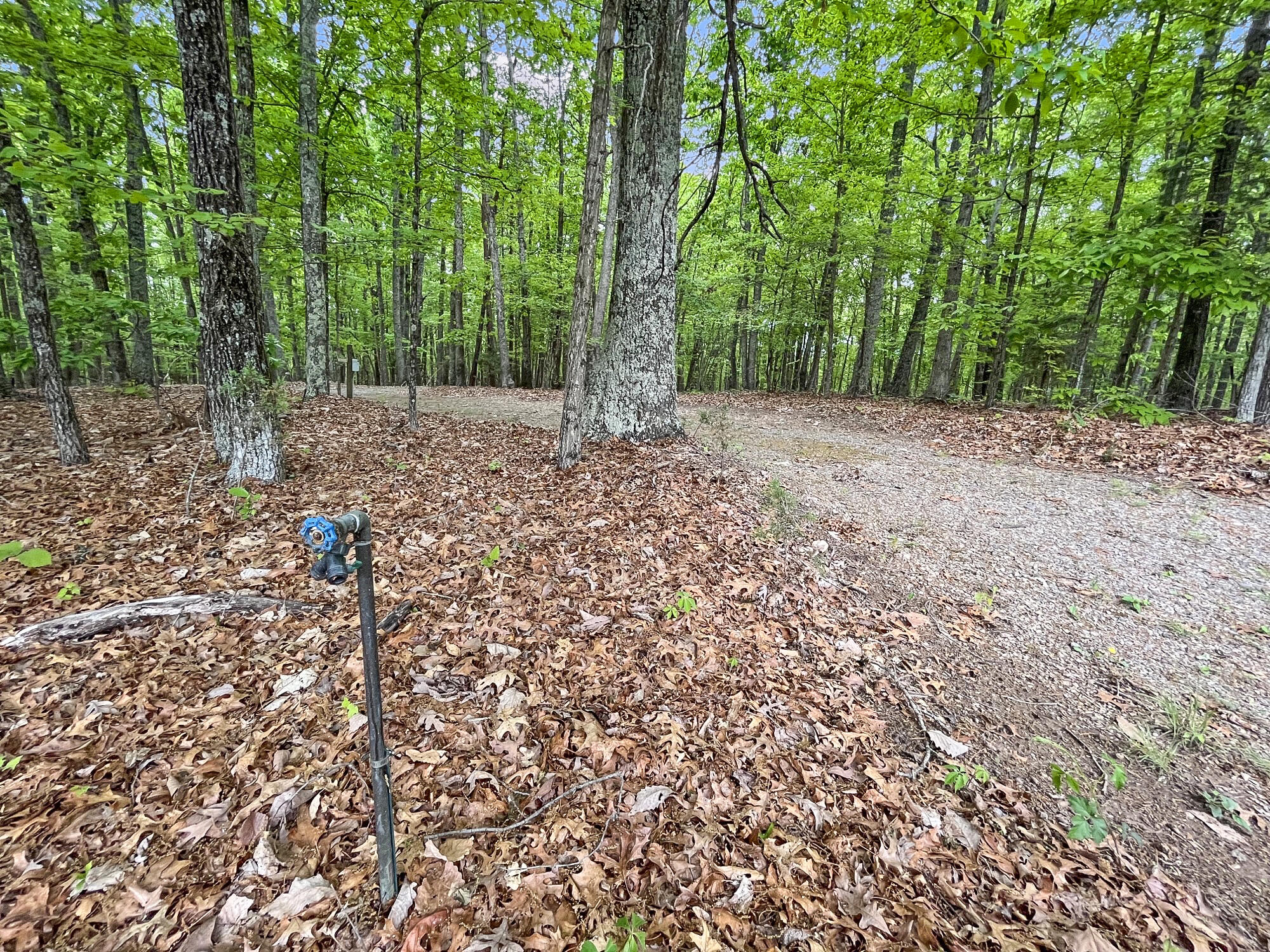 3953 Shingle Block Road Bedford, VA 24523 - Photo 59 of 80 Image