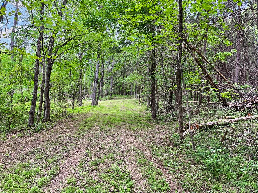 3953 Shingle Block Road Bedford, VA 24523 - Photo 63 of 80 IMG_2473